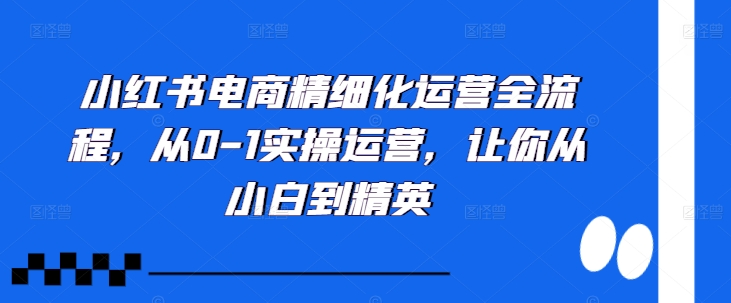 小红书电商精细化运营全流程，从0-1实操运营，让你从小白到精英-观智斋电商课程站
