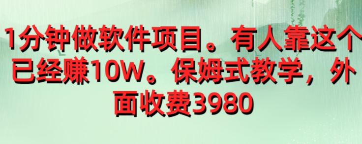 外面收费39801分钟做软件项目，有人靠这个已经赚10W，保姆式教学-观智斋电商课程站