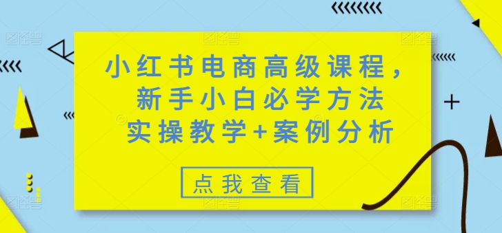 小红书电商高级课程，新手小白必学方法，实操教学+案例分析-观智斋电商课程站