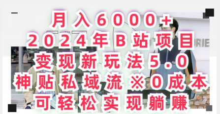 月入6000+，2024年B站项目变现新玩法5.0.神贴私域流0成本，可轻松实现躺赚-观智斋电商课程站