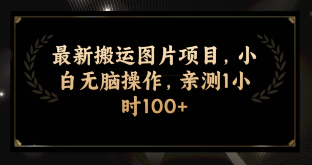 最新搬运图片项目，小白无脑操作，亲测1小时100+-观智斋电商课程站