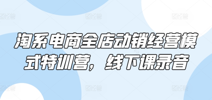 淘系电商全店动销经营模式特训营，线下课录音-观智斋电商课程站