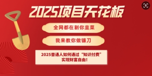 ❌2025项目天花板普通人如何通过知识付费,实现财F自由【揭秘】-观智斋电商课程站