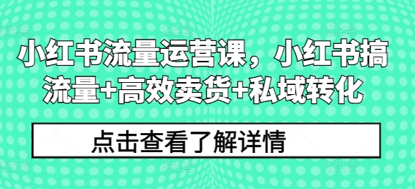 小红书流量运营课，小红书搞流量+高效卖货+私域转化-观智斋电商课程站