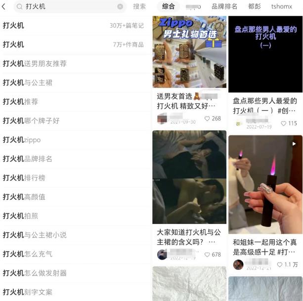 小红书电商无货源项目思路,从开店到选品的一些玩法,无私分享给你!