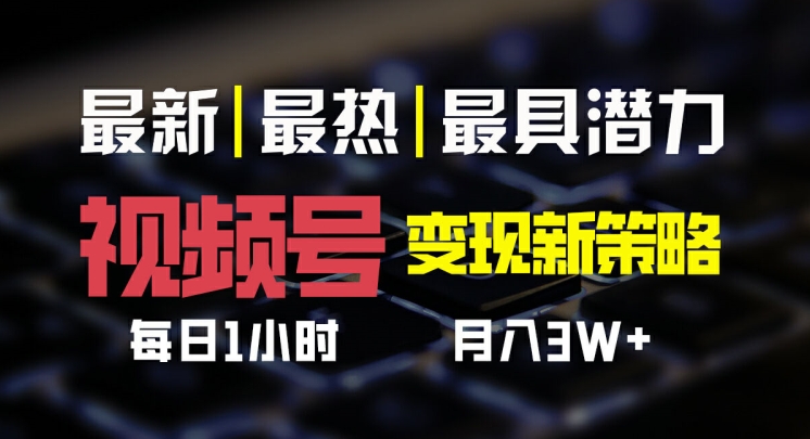 视频号变现新策略，每日一小时月入过万-观智斋电商课程站