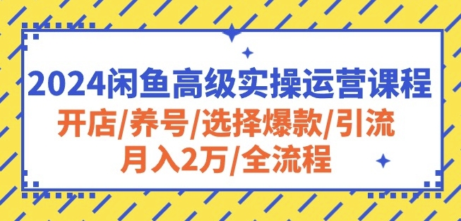 2024闲鱼高级实操运营课程：开店/养号/选择爆款/引流/月入2万/全流程-观智斋电商课程站
