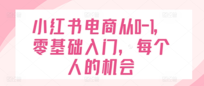 小红书电商从0-1，零基础入门，每个人的机会-观智斋电商课程站
