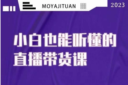 大威本威·能听懂的直播带货课，小白也能听懂，20节完整-观智斋电商课程站