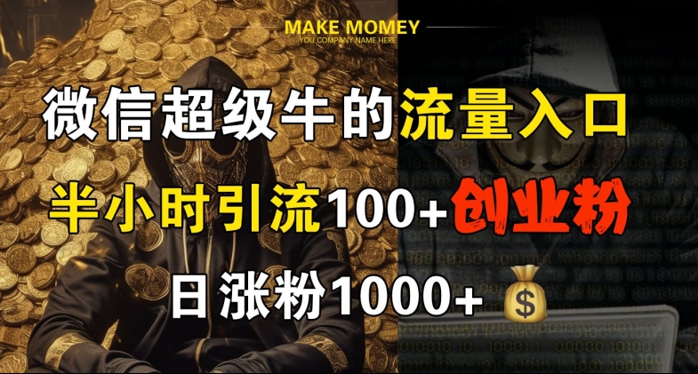 微信超级牛的流量入口，半小时引流100+创业粉，日涨粉1000+-观智斋电商课程站