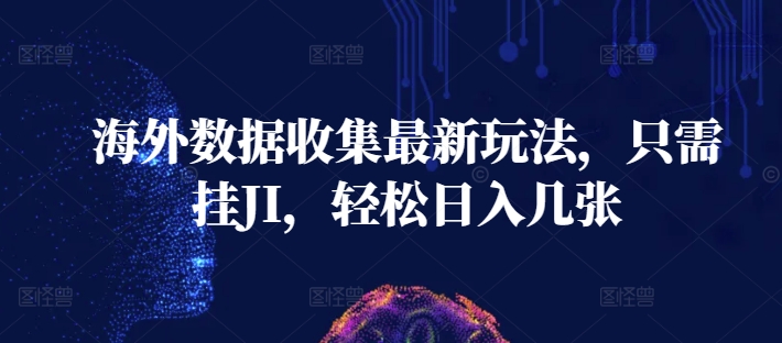 海外数据收集最新玩法，只需挂JI，轻松日入几张-观智斋电商课程站