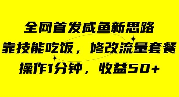 闲鱼冷门新玩法，靠“技能吃饭”，修改流量套餐，操作1分钟，收益50【揭秘】-观智斋电商课程站