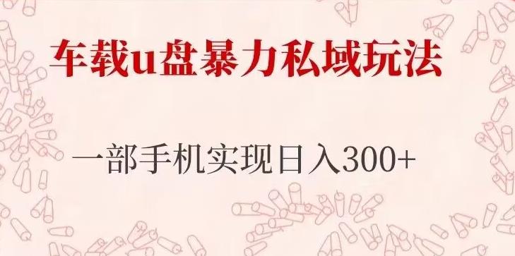 车载u盘暴力私域玩法，长期项目，仅需一部手机实现日入300+-观智斋电商课程站