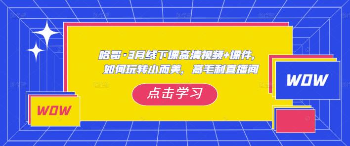 哈哥·3月线下实操课高清视频+课件，如何玩转小而美，高毛利直播间-观智斋电商课程站