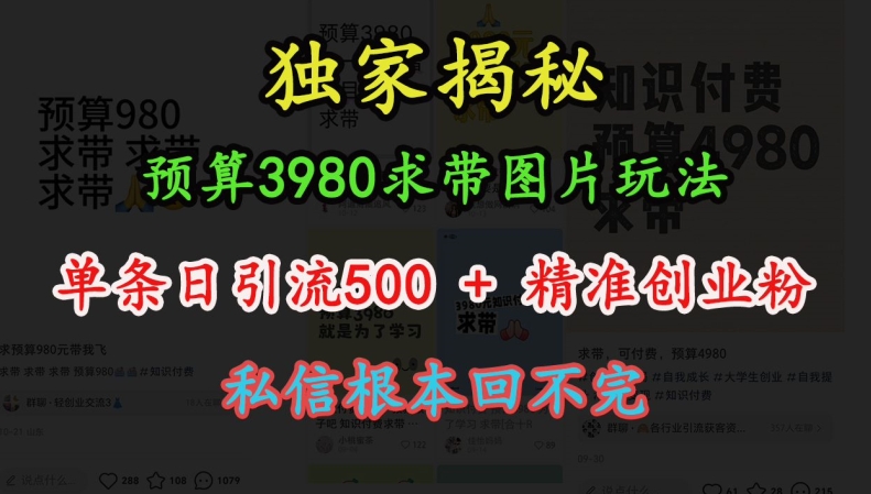 预算3980求带 图片玩法，单条日引流500+精准创业粉，私信根本回不完-观智斋电商课程站