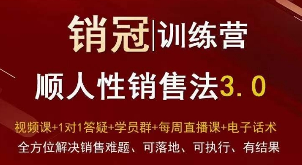 爆款！销冠训练营3.0之顺人性销售法，全方位解决销售难题、可落地、可执行、有结果-观智斋电商课程站