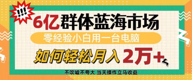 6亿群体蓝海市场，零经验小白用一台电脑，如何轻松月入过w【揭秘】-观智斋电商课程站