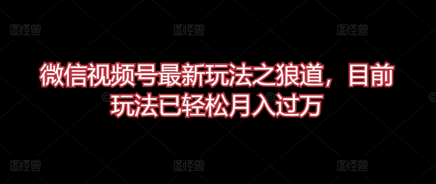 微信视频号最新玩法之狼道，目前玩法已轻松月入过万【揭秘】-观智斋电商课程站