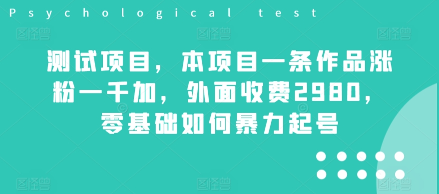 测试项目，本项目一条作品涨粉一千加，外面收费2980，零基础如何暴力起号-观智斋电商课程站