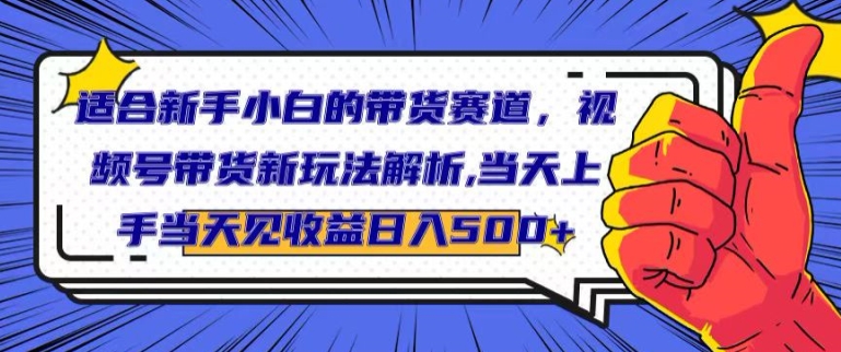 适合新手小白的带货赛道，视频号带货新玩法解析，当天上手当天见收益，日入500+-观智斋电商课程站