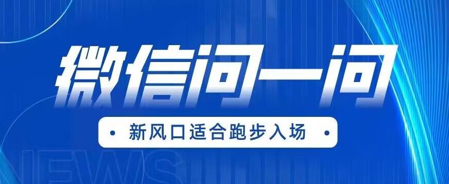 全网首发微信问一问新风口变现项目（价值1999元）【揭秘】-观智斋电商课程站