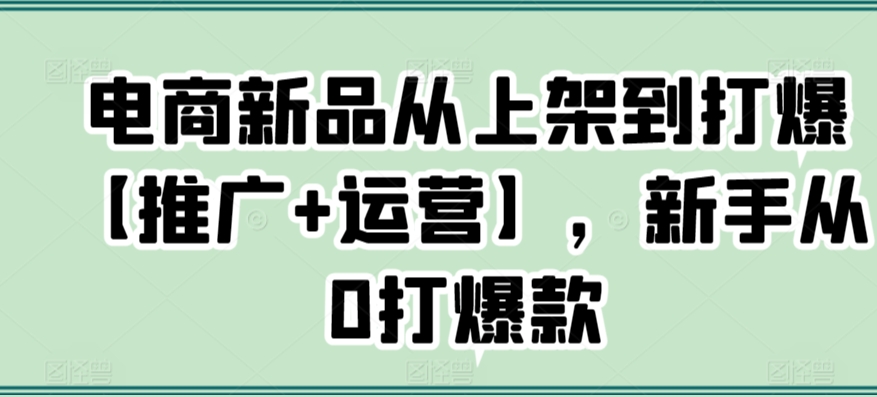 电商新品从上架到打爆【推广+运营】，新手从0打爆款-观智斋电商课程站