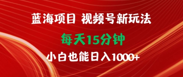 蓝海项目，视频号新玩法，每天15分钟，小白也能日入1000+-观智斋电商课程站