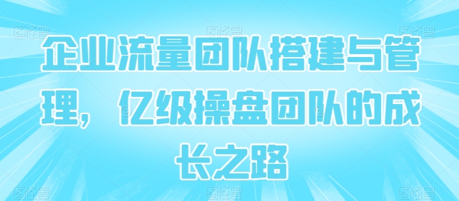 企业流量团队搭建与管理，亿级操盘团队的成长之路-观智斋电商课程站