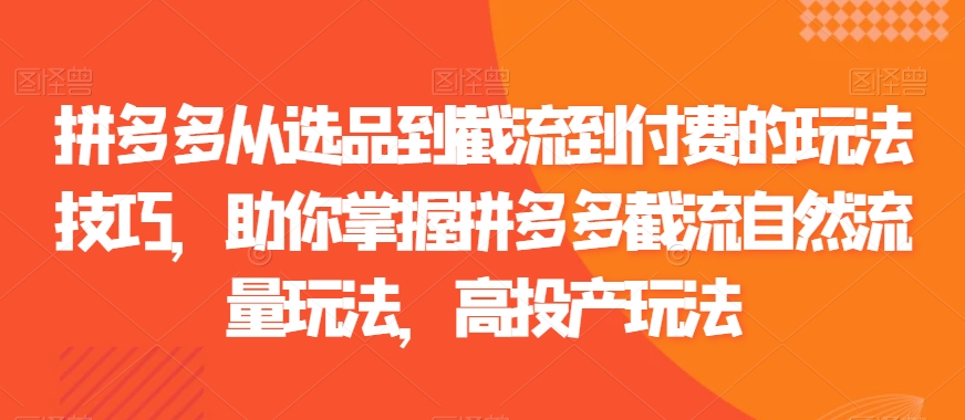 拼多多从选品到截流到付费的玩法技巧，助你掌握拼多多截流自然流量玩法，高投产玩法-观智斋电商课程站