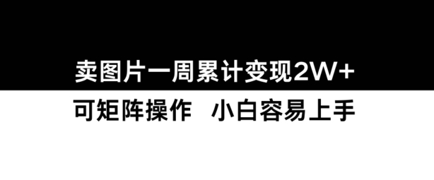 小红书【卖图片】一周累计变现2W+小白易上手-观智斋电商课程站