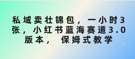 私域卖壮锦包，一小时3张，小红书蓝海赛道3.0版本， 保姆式教学-观智斋电商课程站
