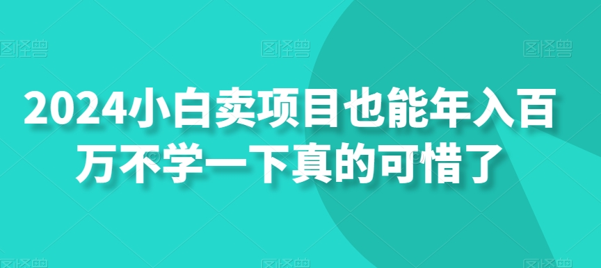 2024小白卖项目也能年入百万不学一下真的可惜了-观智斋电商课程站