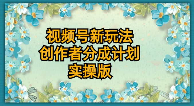视频号新玩法，创作者分成计划，实操版-观智斋电商课程站