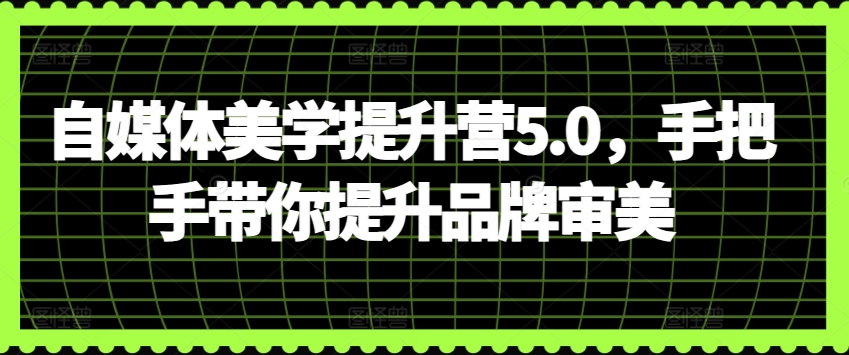 自媒体美学提升营5.0，手把手带你提升品牌审美-观智斋电商课程站