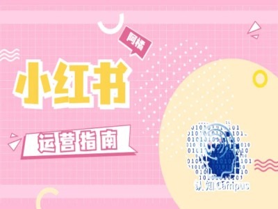 小红书运营指南，没有套路，全是经验-观智斋电商课程站