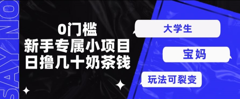 0门槛，新手专属小项目，日撸几十奶茶钱-观智斋电商课程站