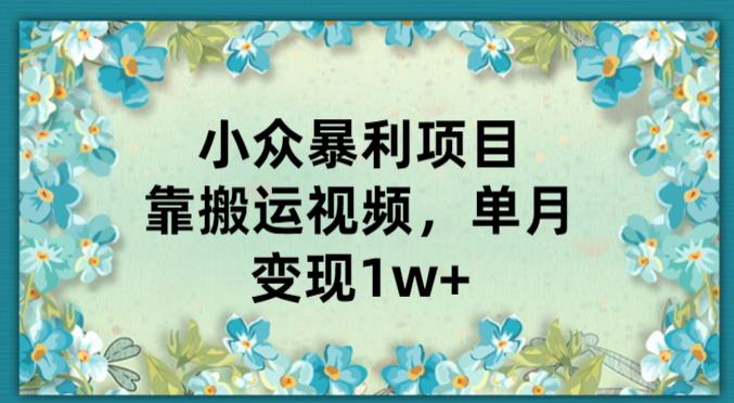 小众暴利项目，靠搬运视频，单月变现1w+-观智斋电商课程站