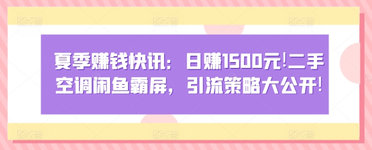 夏季赚钱快讯：日赚1500元，二手空调闲鱼霸屏，引流策略大公开!-观智斋电商课程站