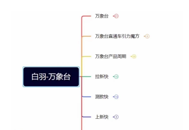 白羽·直引万搜索全篇，从0-1，多个类目实操经验总结付费-观智斋电商课程站