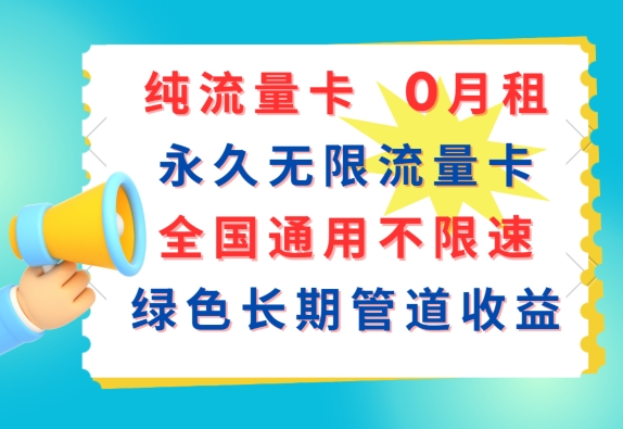 纯流量卡，0月租，永久无限流量卡，全国通用不限速，绿色长期管道收益-观智斋电商课程站