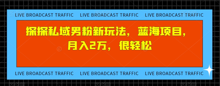 探探私域男粉新玩法，蓝海项目，月入2万，很轻松-观智斋电商课程站