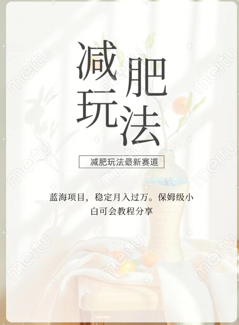 减肥流量主新玩法，轻松月入1W，可矩阵操作收入翻倍-观智斋电商课程站