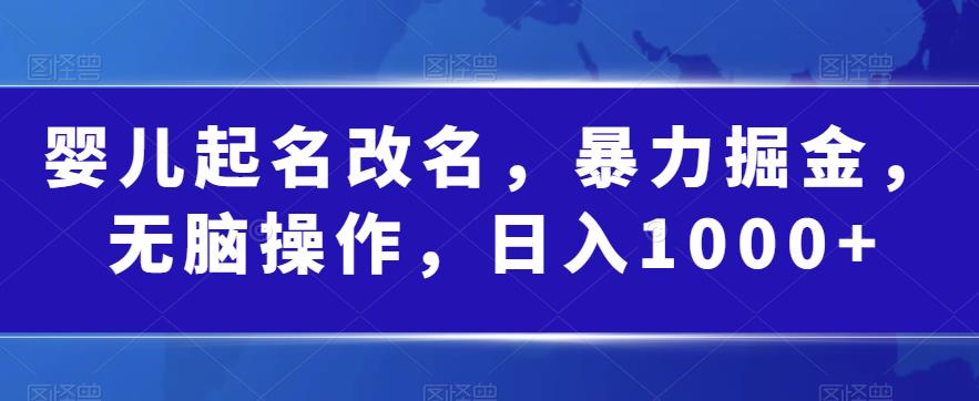 婴儿起名改名，暴力掘金，无脑操作，日入1000+【揭秘】-观智斋电商课程站