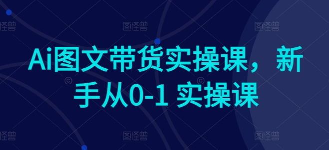 Ai图文带货实操课，新手从0-1 实操课-观智斋电商课程站