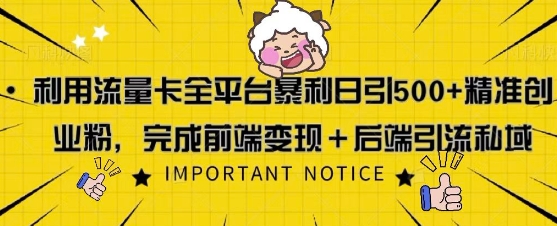 利用流量卡全平台暴利日引500+精准创业粉-观智斋电商课程站