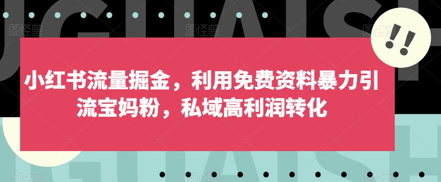 小红书流量掘金，利用免费资料暴力引流宝妈粉，私域高利润转化【揭秘】-观智斋电商课程站
