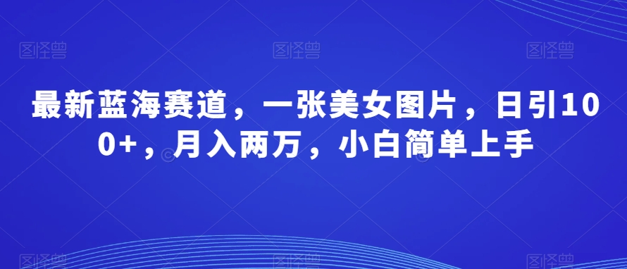 最新蓝海赛道，一张美女图片，日引100+，月入两万，小白简单上手-观智斋电商课程站
