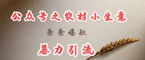 deepseek写农村小项目，条条爆款，暴力引流-观智斋电商课程站