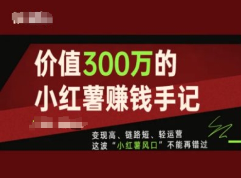 价值300万的小红书赚钱手记，变现高、链路短、轻运营，这波“小红书风口”不能再错过-观智斋电商课程站