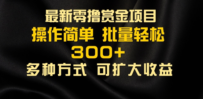 2024最新零撸赏金项目，无需养机，直接上手操作 ，单机收益30+，适合批量放大-观智斋电商课程站